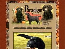 Tablet Screenshot of paradigmlabradors.com